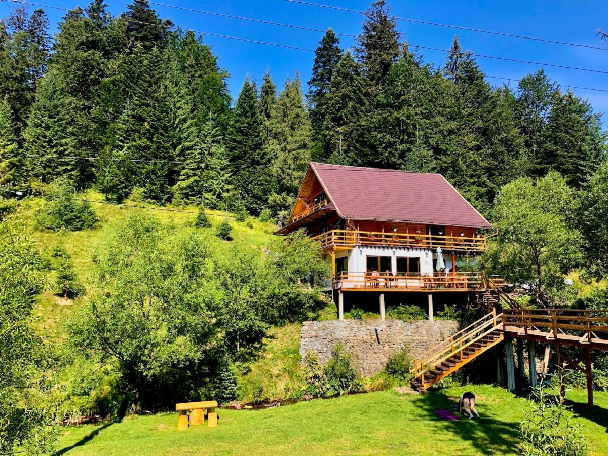 Cabana Cota 1000 Arieşeni Exterior foto