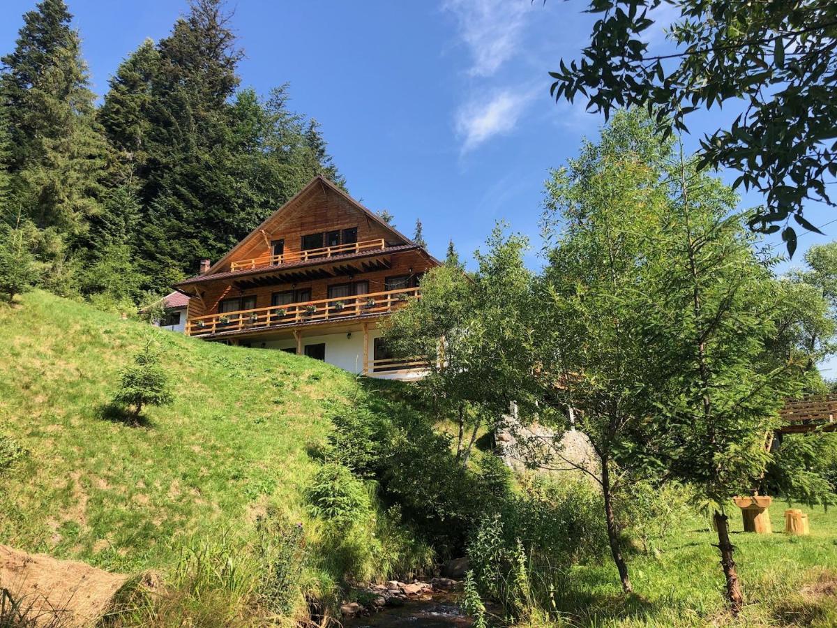 Cabana Cota 1000 Arieşeni Exterior foto
